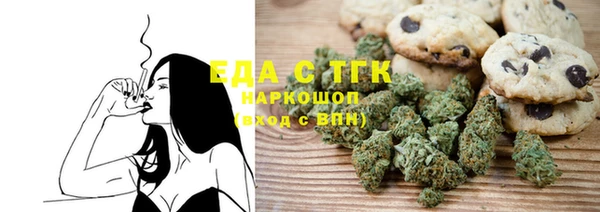 индика Магас