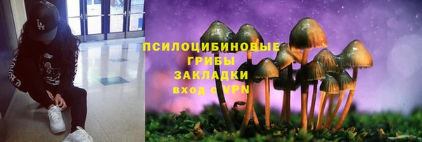 тгк Магадан