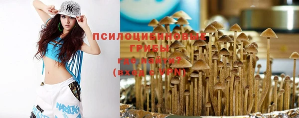 меф Медвежьегорск
