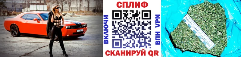 наркошоп  Луза  Канабис ГИДРОПОН 